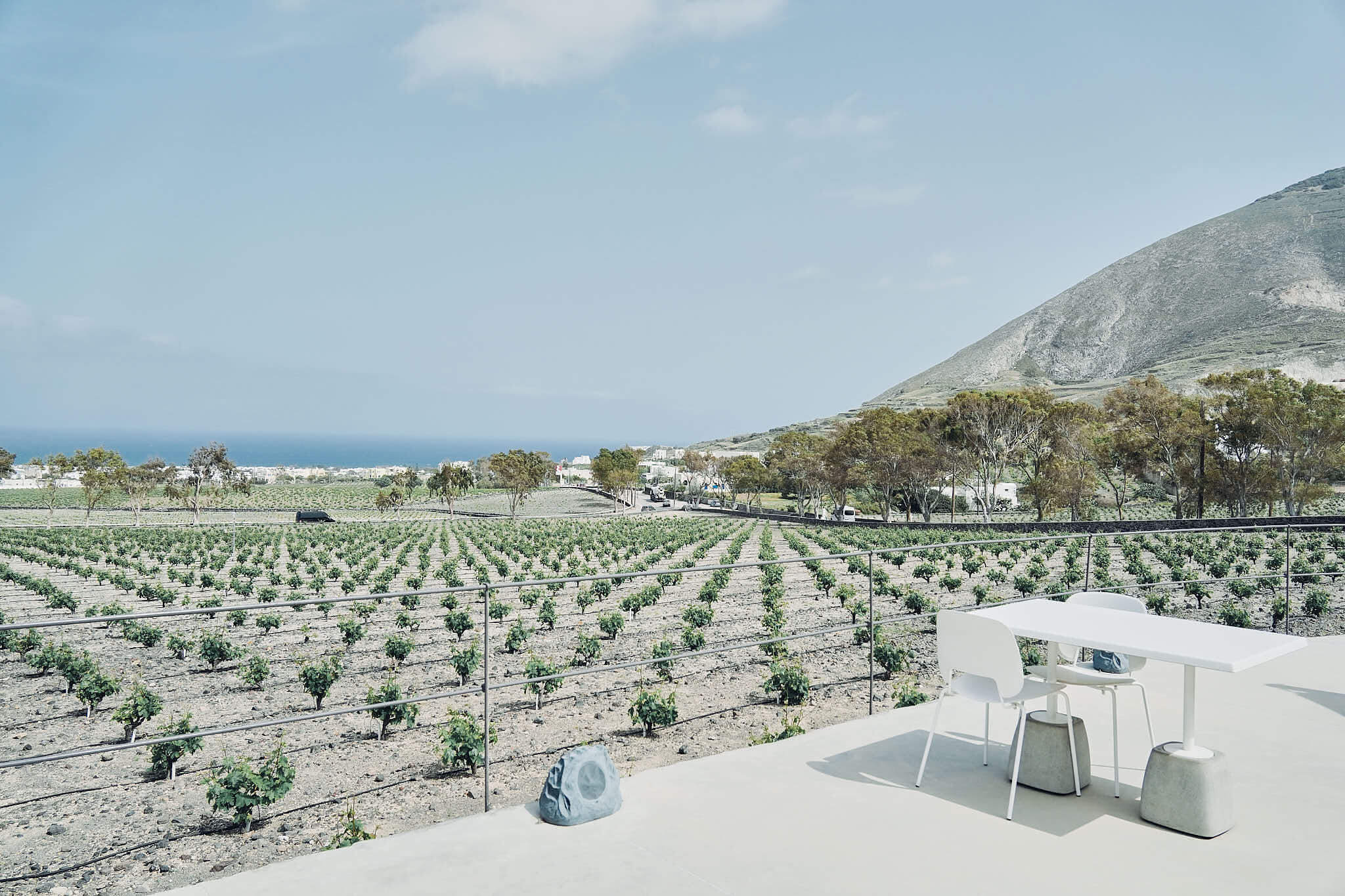 Article108 greece santorini island Estate Argyros Santorini Winery 希臘 聖托里尼 酒莊 6959
