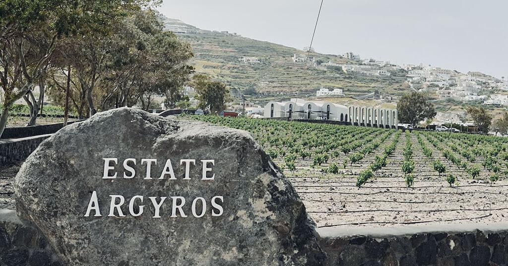 聖托里尼｜Estate Argyros｜7 次入選世界 100 強酒莊名單