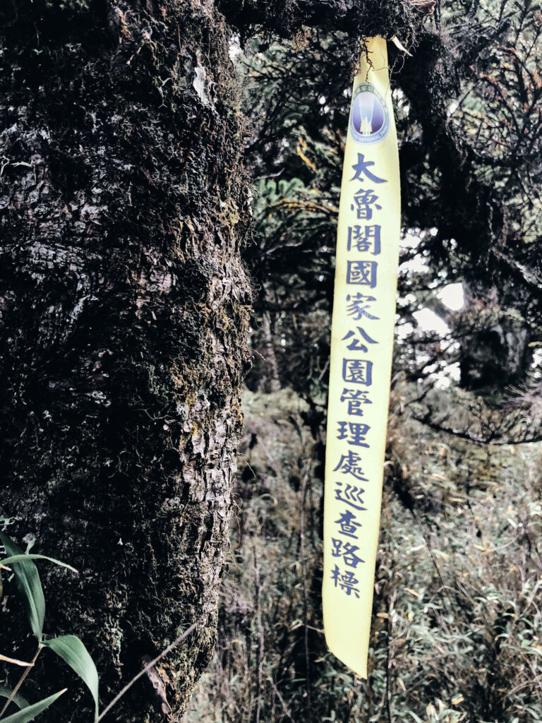 Article144 taiwan 100 peak mountain mt nanhu 台灣 百岳 南湖大山 審馬陣山 南湖東峰 馬比杉山 北峰 東南峰 山屋 10834