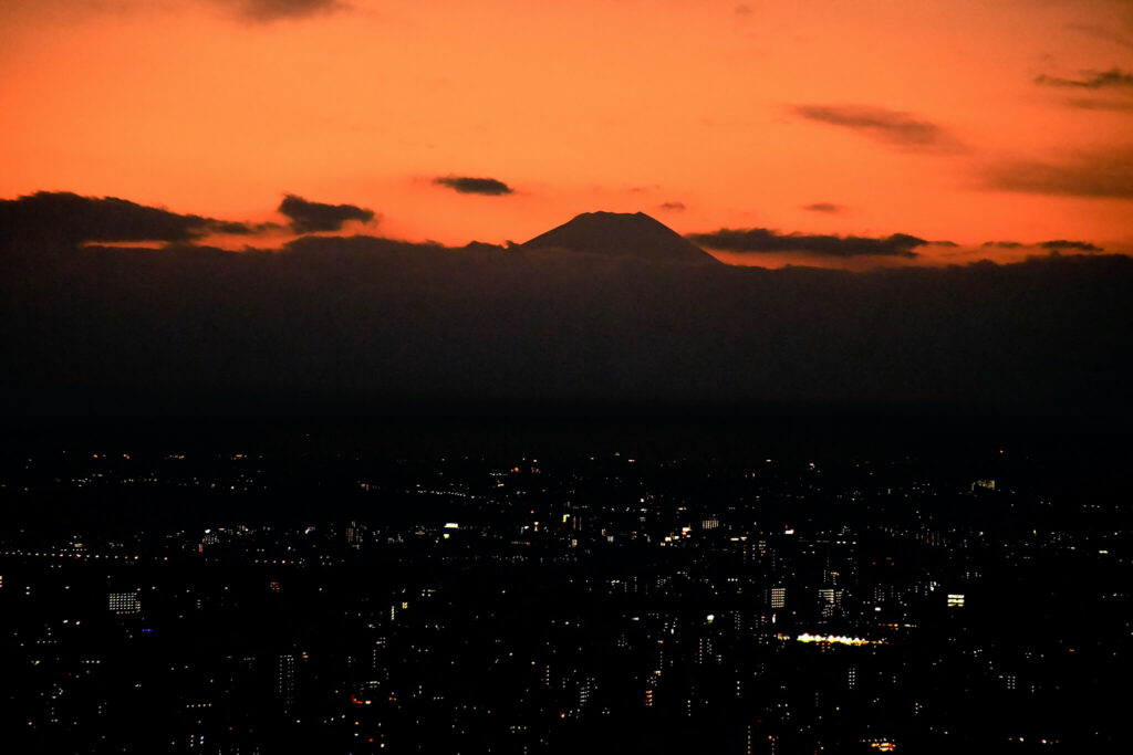 澀谷 SHIBUYA SKY 線上購票、私房拍照地點、注意事項、夜景參觀全攻略